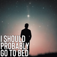 I Should Probably Go To Bed - Full Cover cover